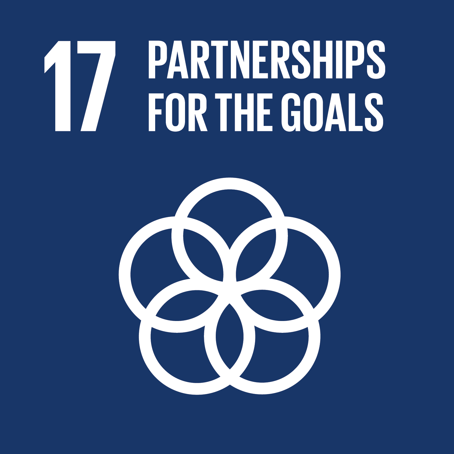 SDG_Partnership per gli obiettivi_17